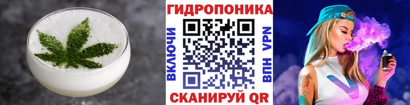 где купить наркоту  Балашов  Еда ТГК марихуана 