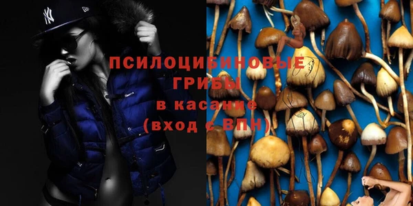 ешки Алексеевка