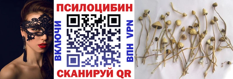 Галлюциногенные грибы Psilocybe  Балашов 