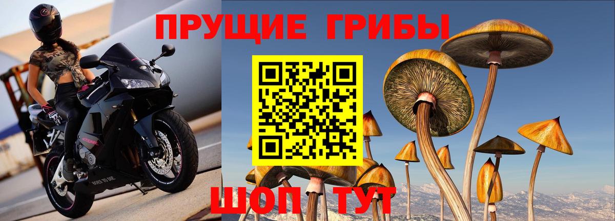 Псилоцибиновые грибы мухоморы Балашов